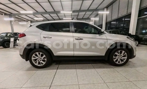 Buy Used Hyundai Tucson White Car in Maseru in Maseru Buy Used Hyundai Tucson White Car in Maseru in Maseru