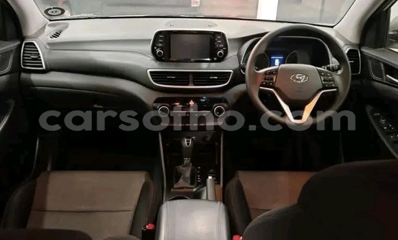 Buy Used Hyundai Tucson White Car in Maseru in Maseru Buy Used Hyundai Tucson White Car in Maseru in Maseru