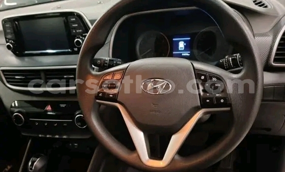 Buy Used Hyundai Tucson White Car in Maseru in Maseru Buy Used Hyundai Tucson White Car in Maseru in Maseru