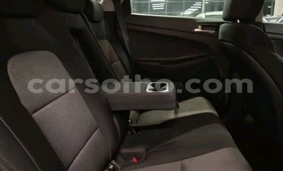 Buy Used Hyundai Tucson White Car in Maseru in Maseru Buy Used Hyundai Tucson White Car in Maseru in Maseru