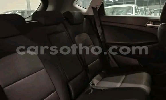 Buy Used Hyundai Tucson White Car in Maseru in Maseru Buy Used Hyundai Tucson White Car in Maseru in Maseru