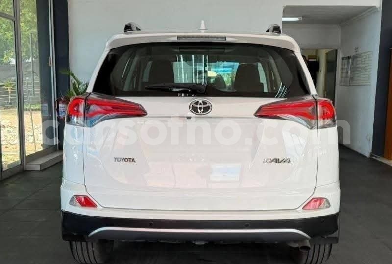 Big with watermark toyota rav4 maseru maseru 31665