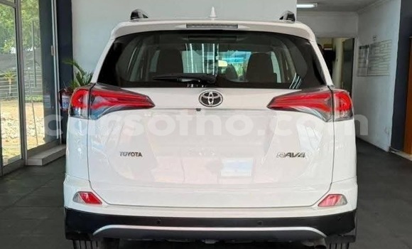 Buy Used Toyota RAV4 White Car in Maseru in Maseru Buy Used Toyota RAV4 White Car in Maseru in Maseru