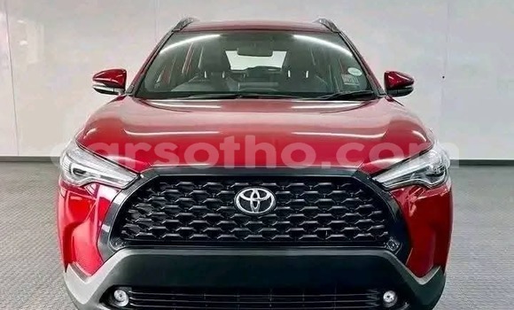 اشتري مستعمل Toyota Corolla Cross Red سيارة في Maseru في Maseru