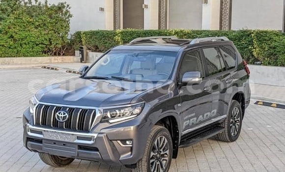 اشتري مستعمل Toyota Land Cruiser Prado White سيارة في Maputsoe في Leribe اشتري مستعمل Toyota Land Cruiser Prado White سيارة في Maputsoe في Leribe