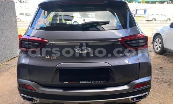 Buy Used Chery Tiggo 3 Other Car in Maseru in Maseru Buy Used Chery Tiggo 3 Other Car in Maseru in Maseru