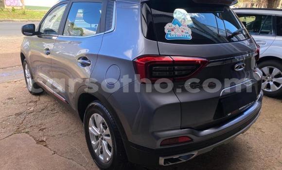 Buy Used Chery Tiggo 3 Other Car in Maseru in Maseru Buy Used Chery Tiggo 3 Other Car in Maseru in Maseru