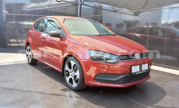 Buy Used Volkswagen Polo Red Car in Maseru in Maseru