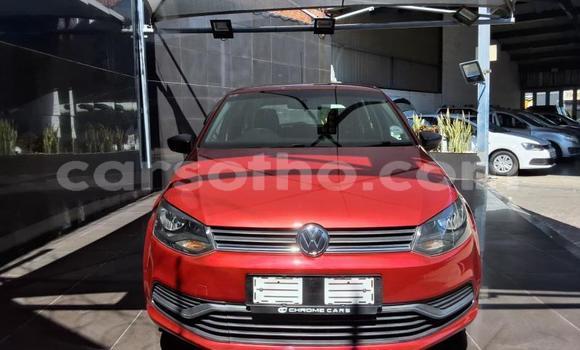 Buy Used Volkswagen Polo Red Car in Maseru in Maseru Buy Used Volkswagen Polo Red Car in Maseru in Maseru