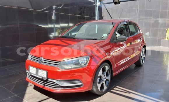 Buy Used Volkswagen Polo Red Car in Maseru in Maseru Buy Used Volkswagen Polo Red Car in Maseru in Maseru