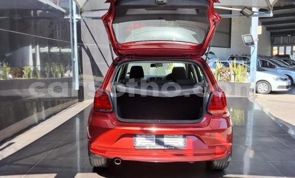 Buy Used Volkswagen Polo Red Car in Maseru in Maseru Buy Used Volkswagen Polo Red Car in Maseru in Maseru
