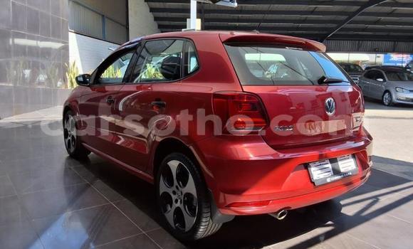 Buy Used Volkswagen Polo Red Car in Maseru in Maseru Buy Used Volkswagen Polo Red Car in Maseru in Maseru