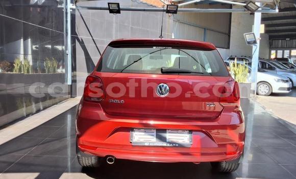 Buy Used Volkswagen Polo Red Car in Maseru in Maseru Buy Used Volkswagen Polo Red Car in Maseru in Maseru