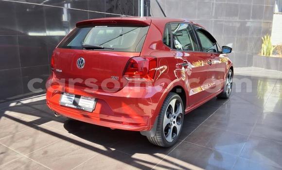 Buy Used Volkswagen Polo Red Car in Maseru in Maseru Buy Used Volkswagen Polo Red Car in Maseru in Maseru