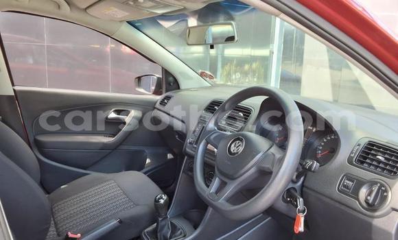 Buy Used Volkswagen Polo Red Car in Maseru in Maseru Buy Used Volkswagen Polo Red Car in Maseru in Maseru