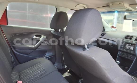 Buy Used Volkswagen Polo Red Car in Maseru in Maseru Buy Used Volkswagen Polo Red Car in Maseru in Maseru