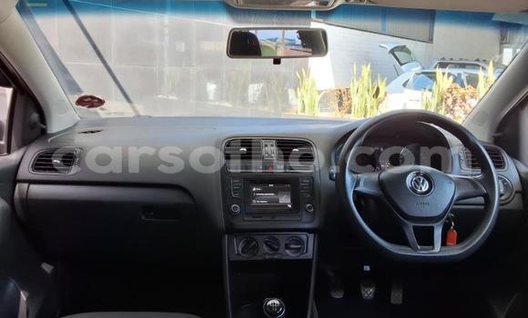 Buy Used Volkswagen Polo Red Car in Maseru in Maseru Buy Used Volkswagen Polo Red Car in Maseru in Maseru