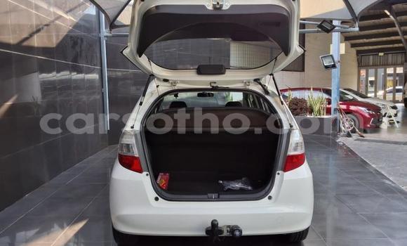 Buy Used Honda Jazz White Car in Maseru in Maseru Buy Used Honda Jazz White Car in Maseru in Maseru
