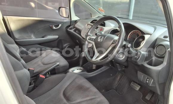 Buy Used Honda Jazz White Car in Maseru in Maseru Buy Used Honda Jazz White Car in Maseru in Maseru