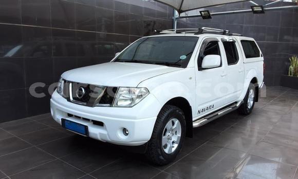 Buy Used Nissan Navara White Car in Maseru in Maseru