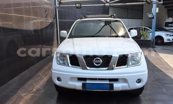 Buy Used Nissan Navara White Car in Maseru in Maseru Buy Used Nissan Navara White Car in Maseru in Maseru