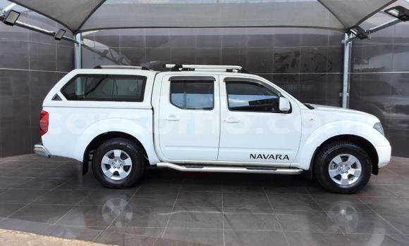 Buy Used Nissan Navara White Car in Maseru in Maseru Buy Used Nissan Navara White Car in Maseru in Maseru