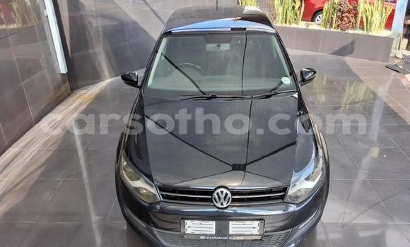 Buy Used Volkswagen Polo Black Car in Maseru in Maseru Buy Used Volkswagen Polo Black Car in Maseru in Maseru