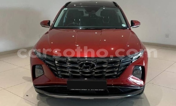 Buy Used Hyundai Tucson Red Car in Maseru in Maseru