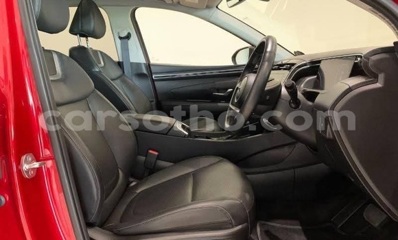 اشتري مستعمل Hyundai Tucson Red سيارة في Maseru في Maseru اشتري مستعمل Hyundai Tucson Red سيارة في Maseru في Maseru