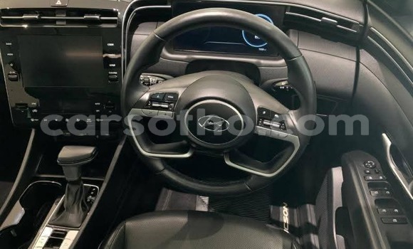 اشتري مستعمل Hyundai Tucson Red سيارة في Maseru في Maseru اشتري مستعمل Hyundai Tucson Red سيارة في Maseru في Maseru