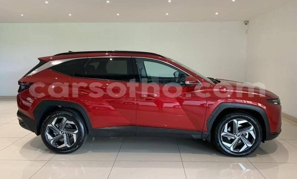 اشتري مستعمل Hyundai Tucson Red سيارة في Maseru في Maseru اشتري مستعمل Hyundai Tucson Red سيارة في Maseru في Maseru