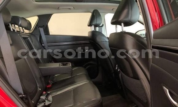 اشتري مستعمل Hyundai Tucson Red سيارة في Maseru في Maseru اشتري مستعمل Hyundai Tucson Red سيارة في Maseru في Maseru