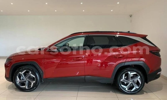 اشتري مستعمل Hyundai Tucson Red سيارة في Maseru في Maseru اشتري مستعمل Hyundai Tucson Red سيارة في Maseru في Maseru
