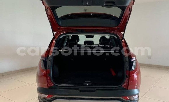 اشتري مستعمل Hyundai Tucson Red سيارة في Maseru في Maseru اشتري مستعمل Hyundai Tucson Red سيارة في Maseru في Maseru