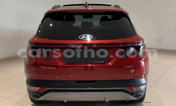 اشتري مستعمل Hyundai Tucson Red سيارة في Maseru في Maseru اشتري مستعمل Hyundai Tucson Red سيارة في Maseru في Maseru