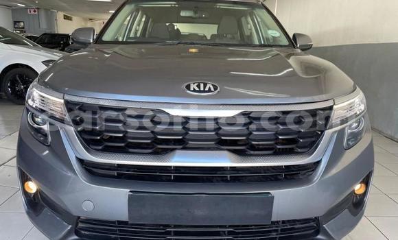 Buy Used Kia Sedona Silver Car in Maseru in Maseru