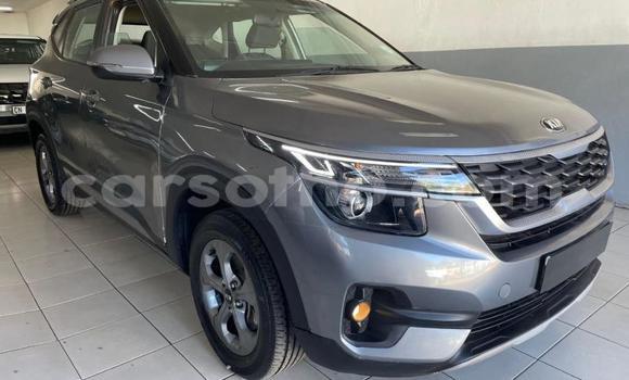 Buy Used Kia Sedona Silver Car in Maseru in Maseru Buy Used Kia Sedona Silver Car in Maseru in Maseru