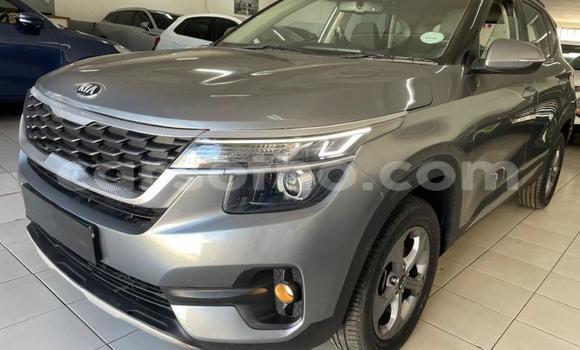 Buy Used Kia Sedona Silver Car in Maseru in Maseru Buy Used Kia Sedona Silver Car in Maseru in Maseru
