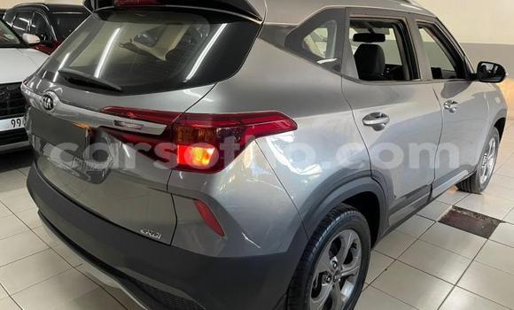 Buy Used Kia Sedona Silver Car in Maseru in Maseru Buy Used Kia Sedona Silver Car in Maseru in Maseru