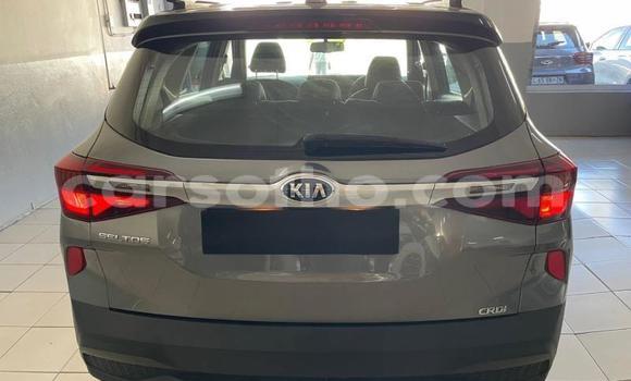 Buy Used Kia Sedona Silver Car in Maseru in Maseru Buy Used Kia Sedona Silver Car in Maseru in Maseru