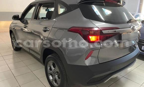 Buy Used Kia Sedona Silver Car in Maseru in Maseru Buy Used Kia Sedona Silver Car in Maseru in Maseru