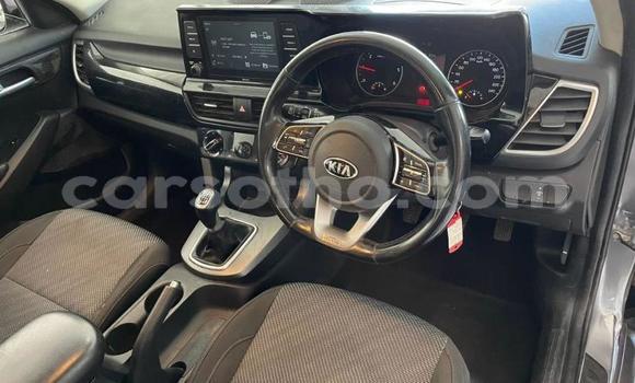 Buy Used Kia Sedona Silver Car in Maseru in Maseru Buy Used Kia Sedona Silver Car in Maseru in Maseru