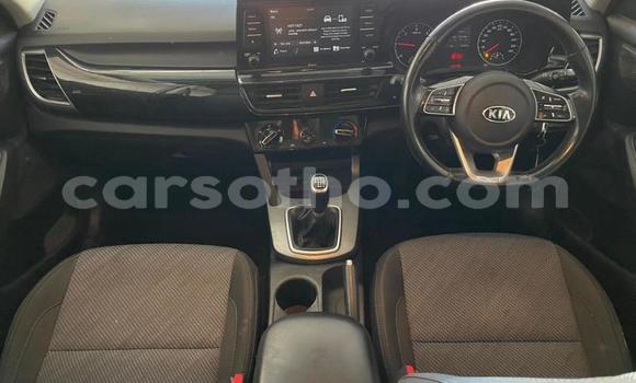 Buy Used Kia Sedona Silver Car in Maseru in Maseru Buy Used Kia Sedona Silver Car in Maseru in Maseru