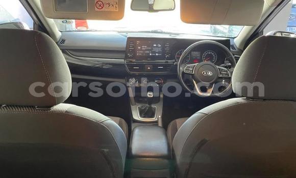 Buy Used Kia Sedona Silver Car in Maseru in Maseru Buy Used Kia Sedona Silver Car in Maseru in Maseru