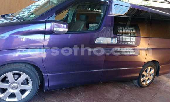 Buy Import Nissan Elgrand Other Car in Peka in Leribe Buy Import Nissan Elgrand Other Car in Peka in Leribe