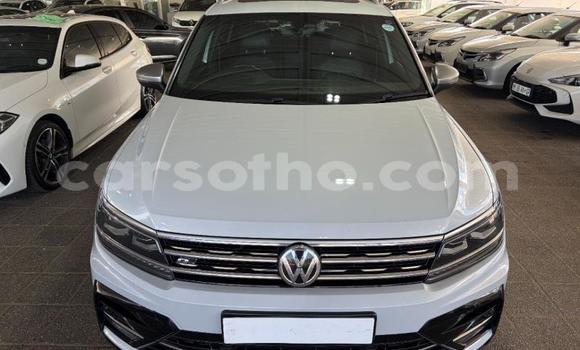 Buy Used Volkswagen Tiguan White Car in Maseru in Maseru