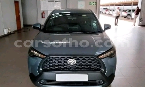 Buy Used Toyota Corolla Cross Other Car in Maputsoa in Leribe