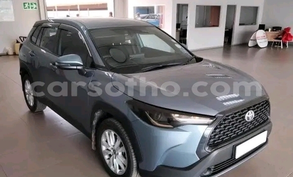 Buy Used Toyota Corolla Cross Other Car in Maputsoa in Leribe Buy Used Toyota Corolla Cross Other Car in Maputsoa in Leribe