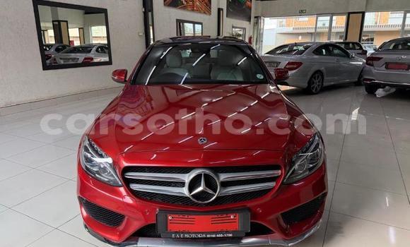 Buy Used Mercedes-Benz C–Class Red Car in Maseru in Maseru