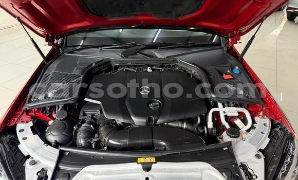 Buy Used Mercedes-Benz C–Class Red Car in Maseru in Maseru Buy Used Mercedes-Benz C–Class Red Car in Maseru in Maseru